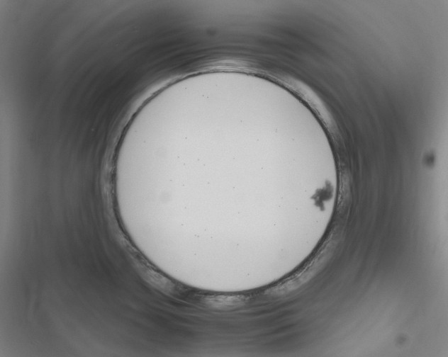 X0000116681435201001251250