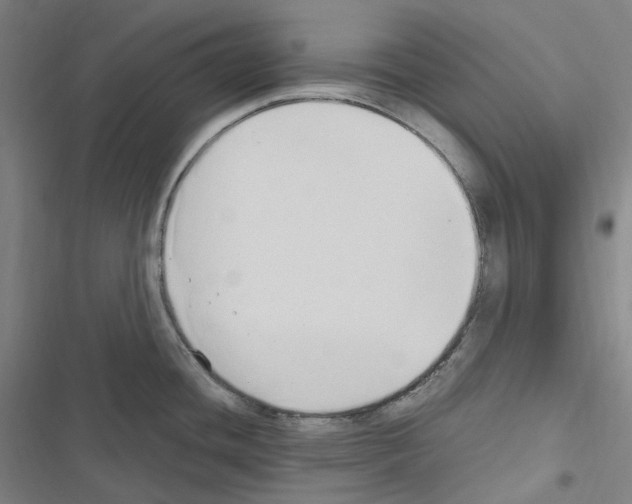 X0000116681436201001251250