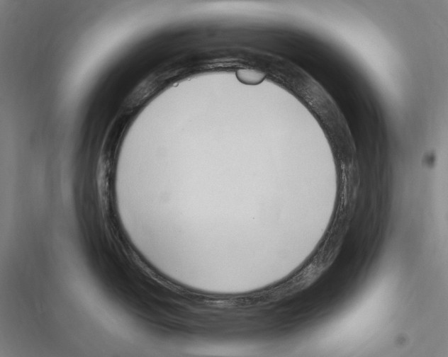 X0000116681438201001251250