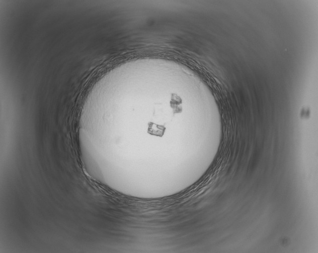 X0000116681441201001251250