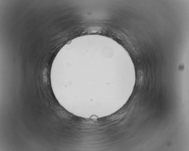 X0000116681442201001251250