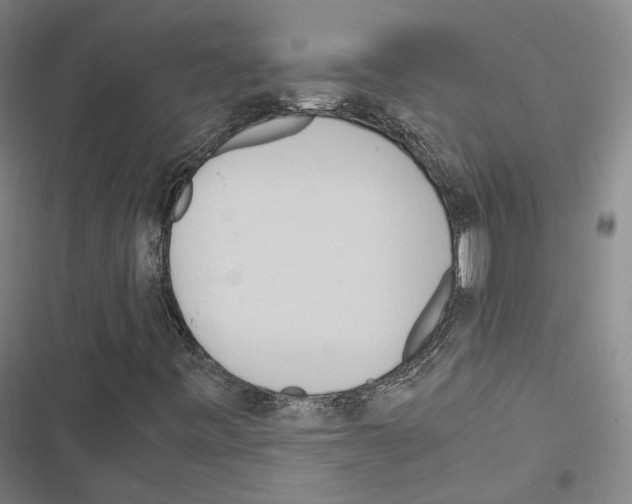 X0000116681443201001251250