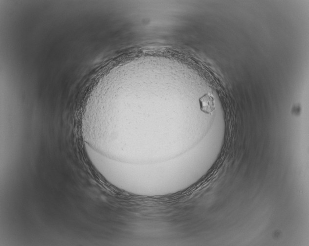 X0000116681445201001251250