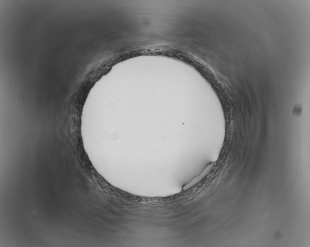 X0000116681447201001251250