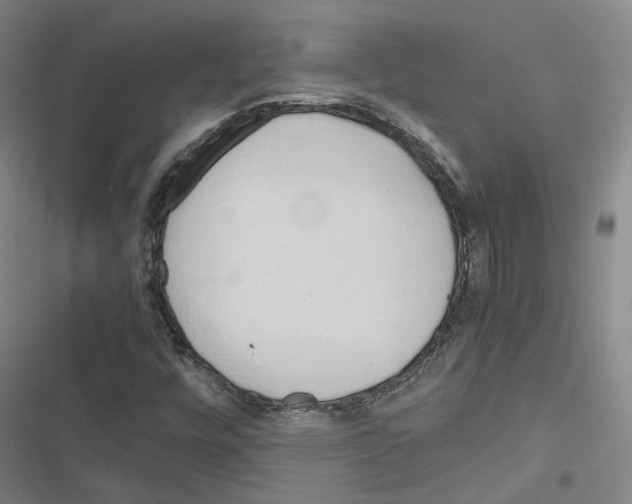 X0000116681448201001251250