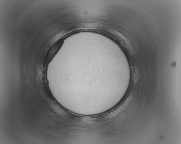 X0000116681449201001251250