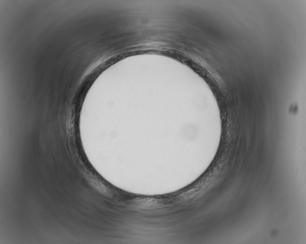 X0000116681450201001251250