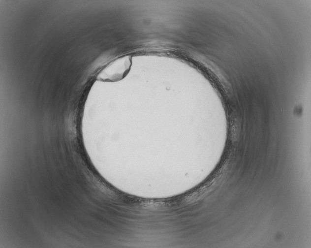 X0000116681451201001251250