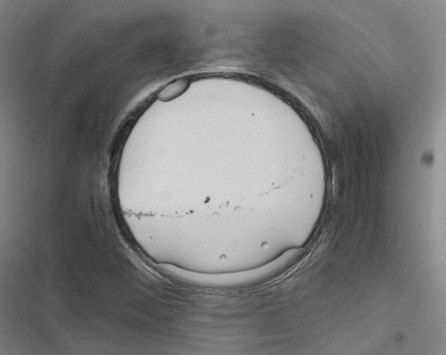 X0000116681452201001251250