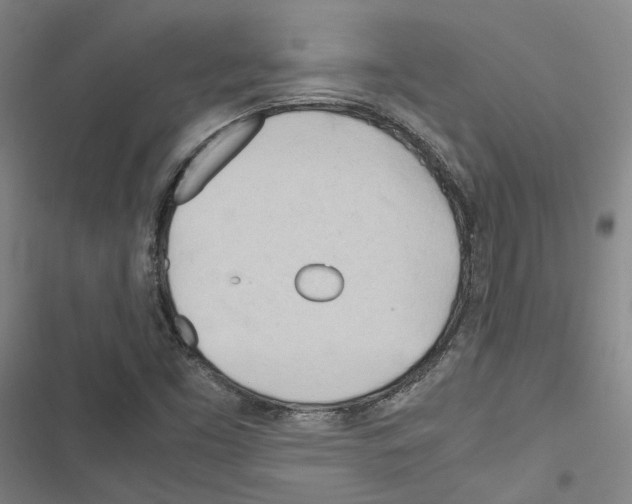 X0000116681453201001251250