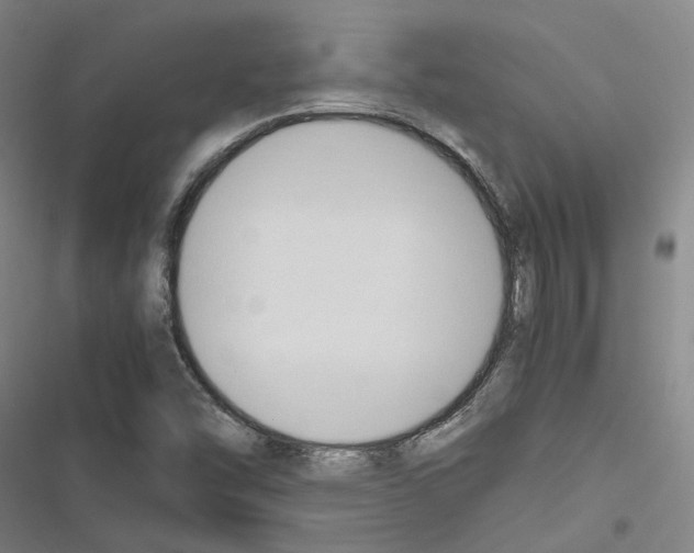 X0000116681454201001251250