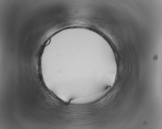 X0000116681455201001251250