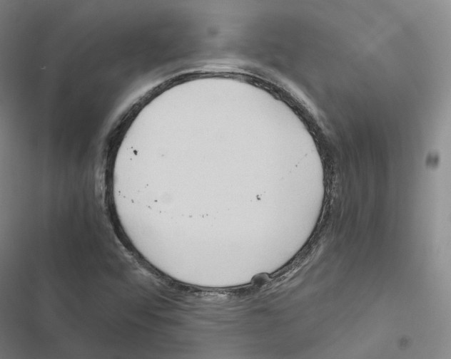 X0000116681456201001251250