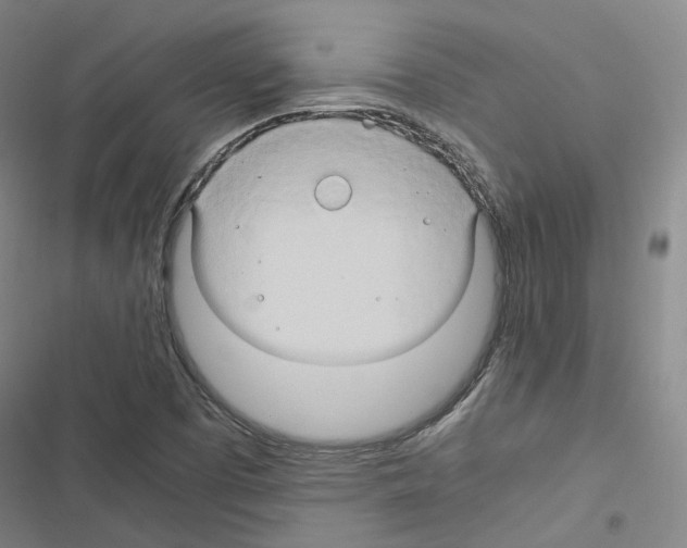 X0000116681457201001251250