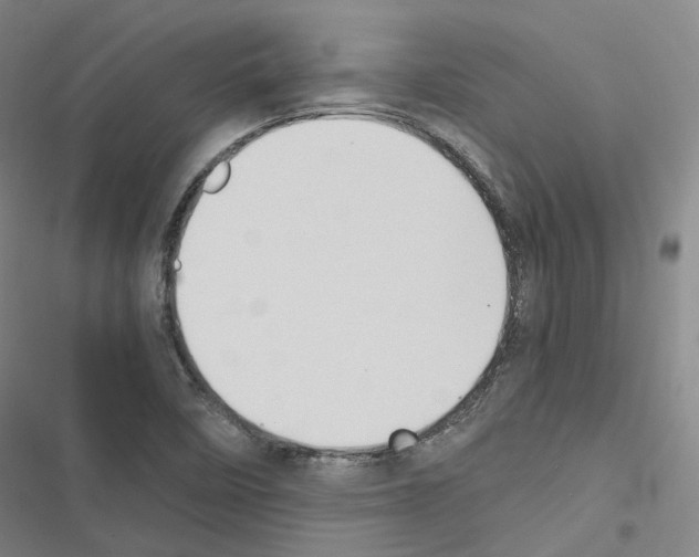 X0000116681458201001251250