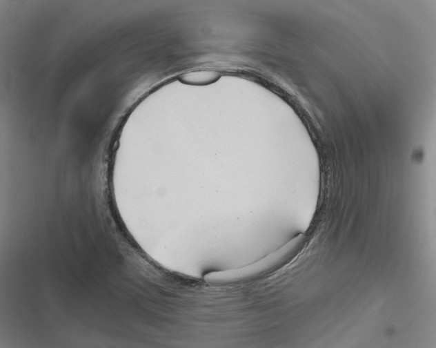 X0000116681459201001251250