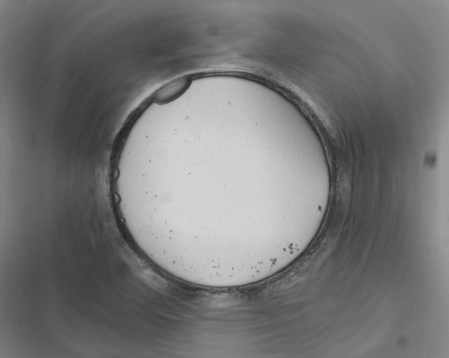 X0000116681460201001251250