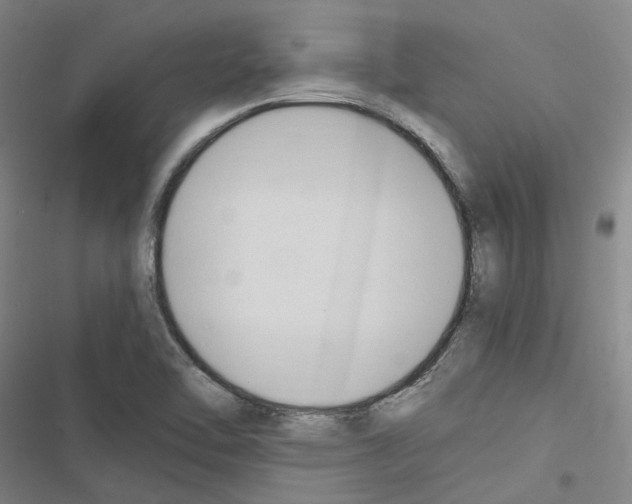 X0000116681462201001251249