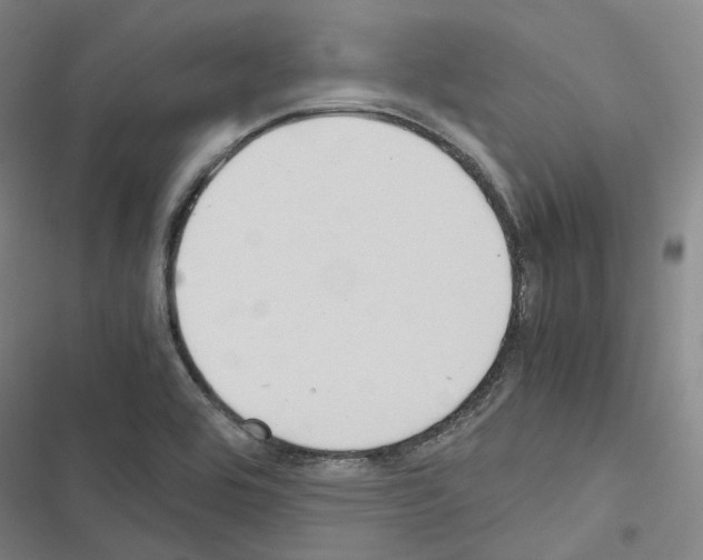 X0000116681464201001251249