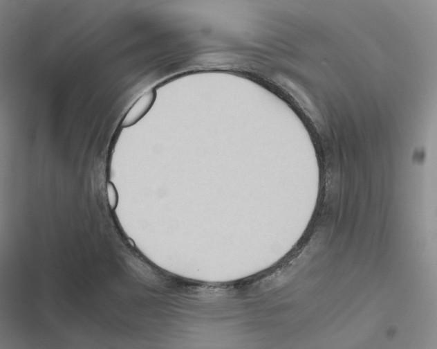 X0000116681465201001251249