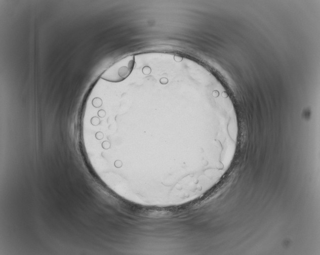 X0000116681467201001251249