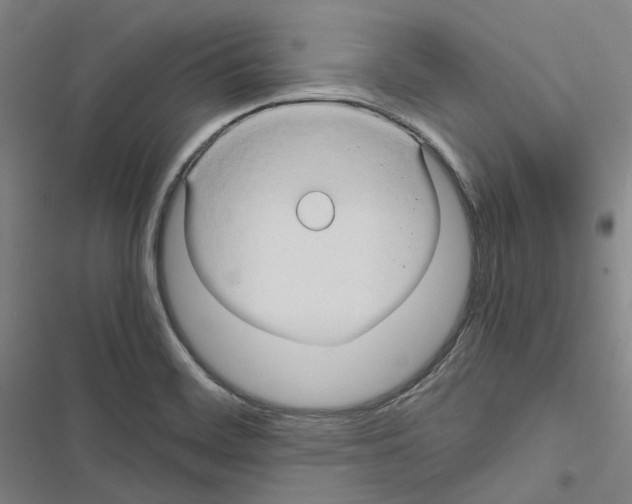 X0000116681468201001251249