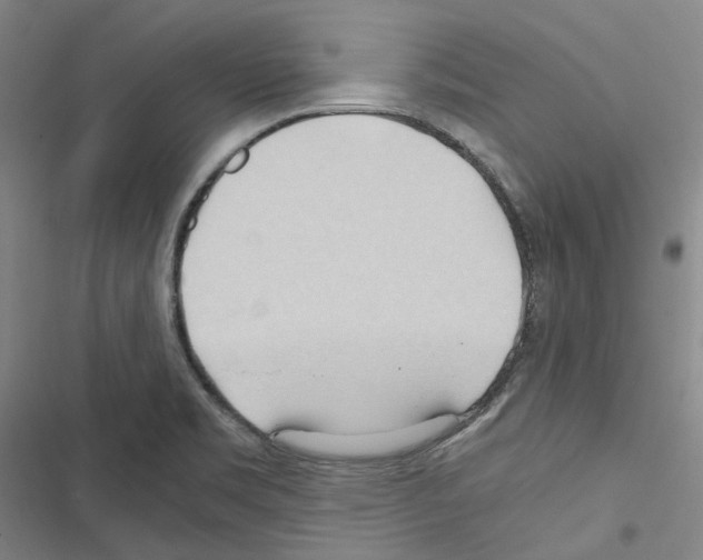 X0000116681469201001251249