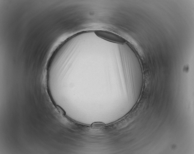 X0000116681472201001251249