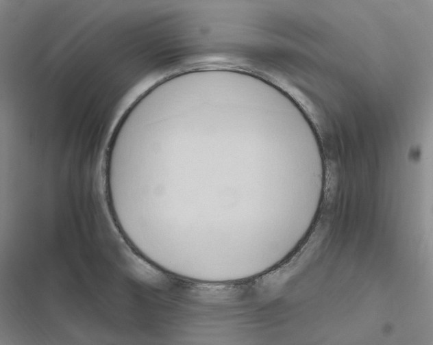 X0000116681474201001251249