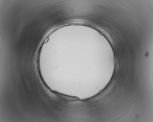 X0000116681475201001251249