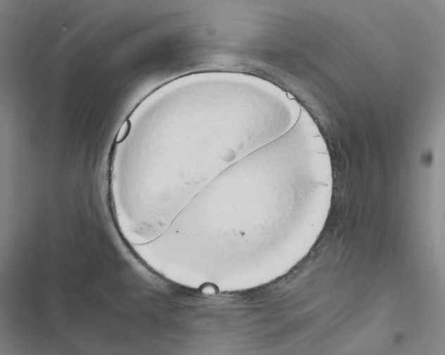 X0000116681479201001251249