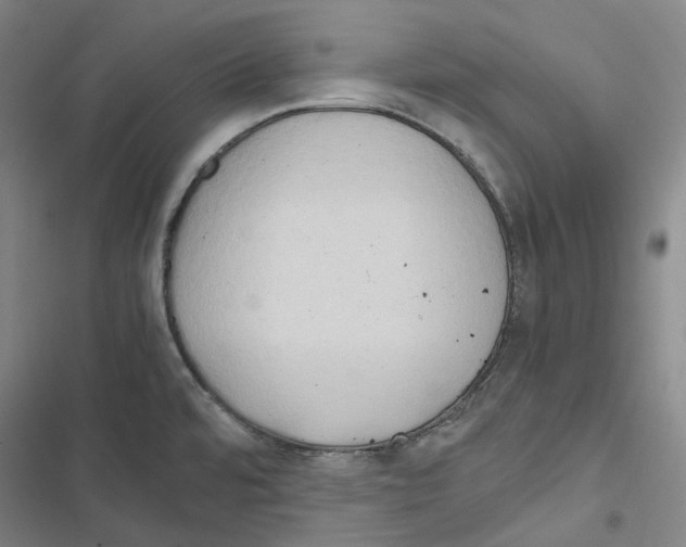 X0000116681480201001251249