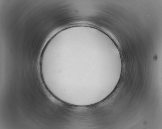 X0000116681482201001251249