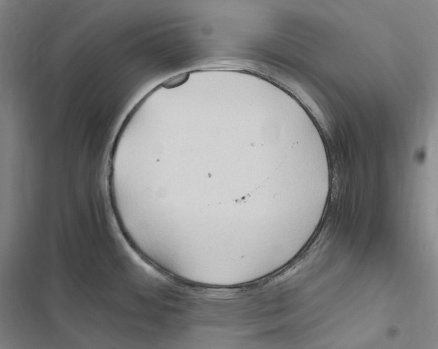 X0000116681484201001251249