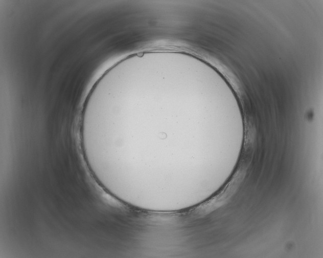 X0000116681486201001251249