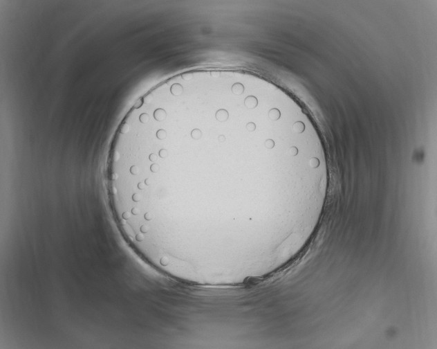 X0000116681487201001251249