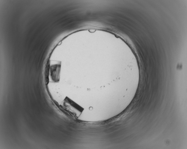 X0000116681488201001251249