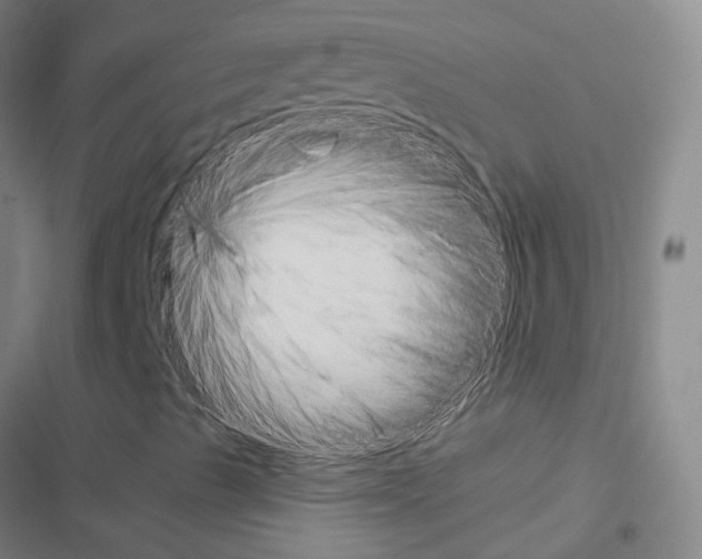 X0000116681489201001251248