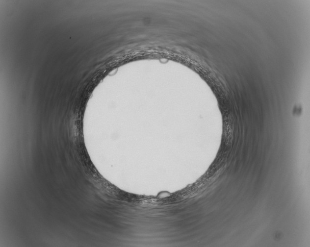 X0000116681490201001251249