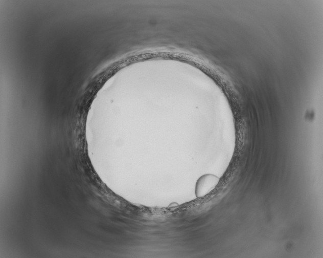 X0000116681494201001251249