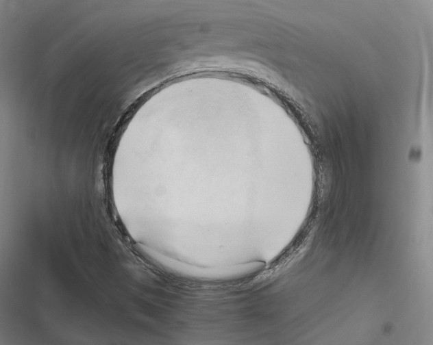 X0000116681497201001251249