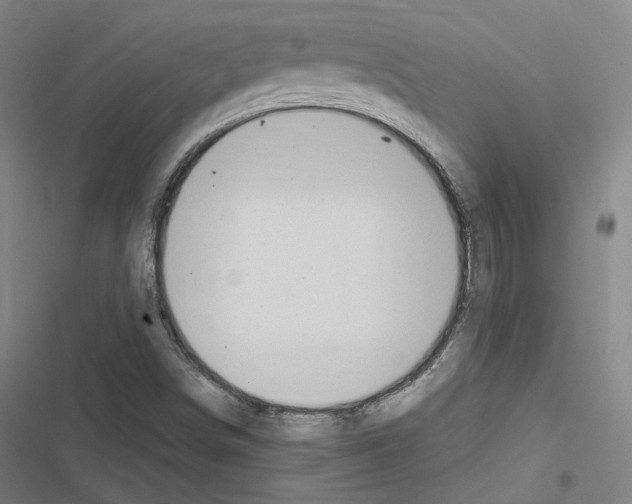 X0000116681498201001251249