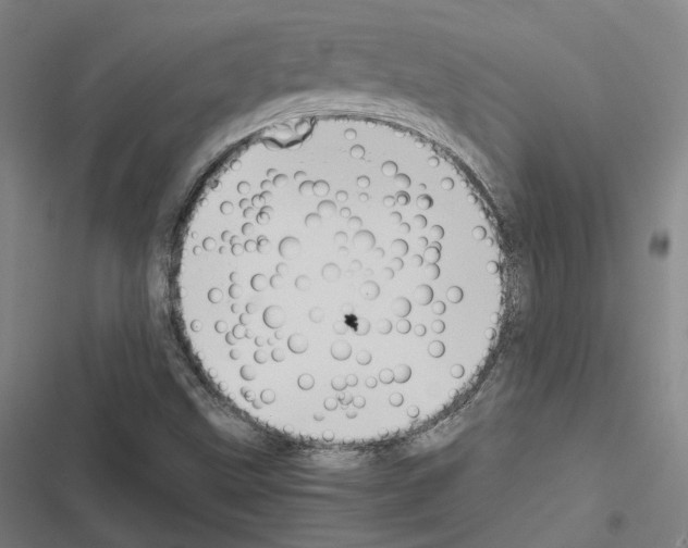 X0000116681499201001251249