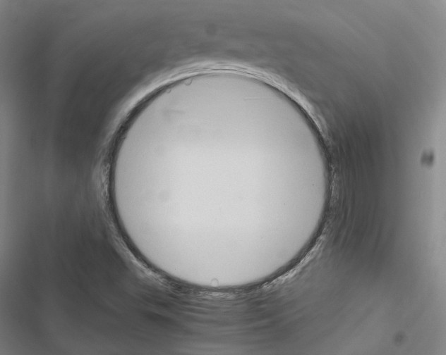 X0000116681503201001251249