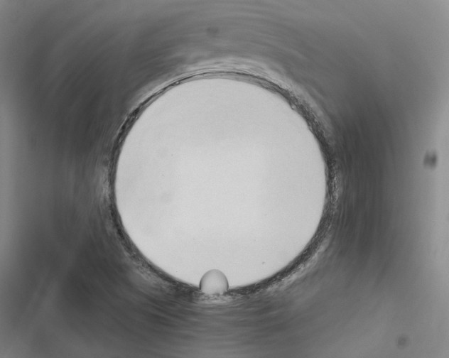 X0000116681505201001251249