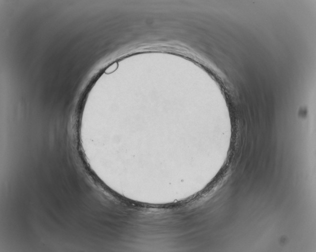 X0000116681506201001251249