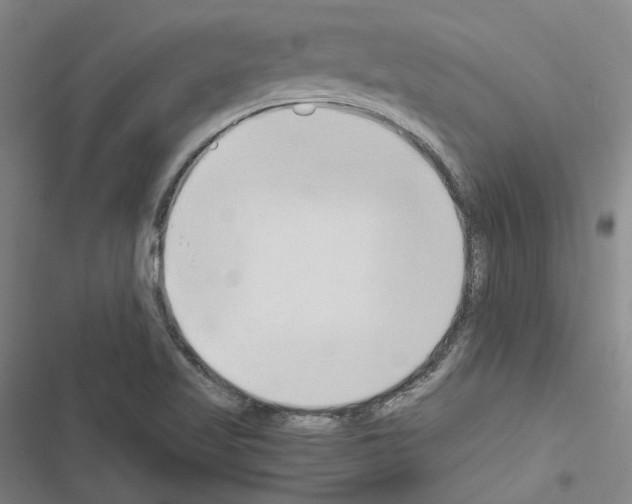 X0000116681509201001251249