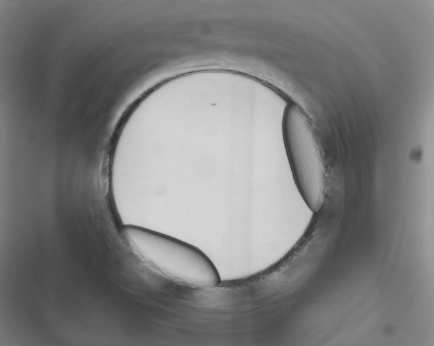 X0000116681510201001251249