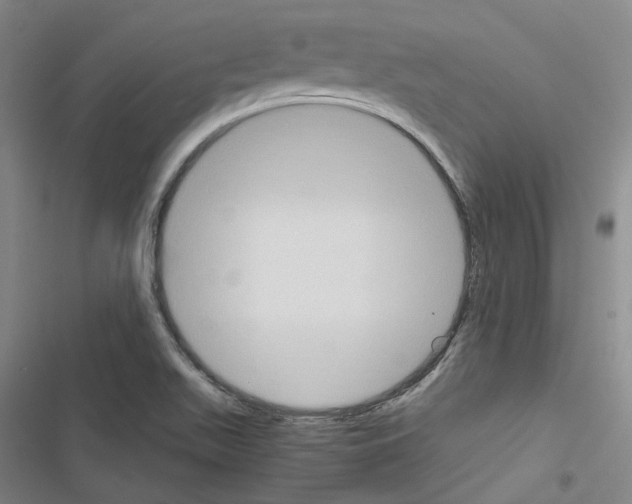 X0000116681511201001251249