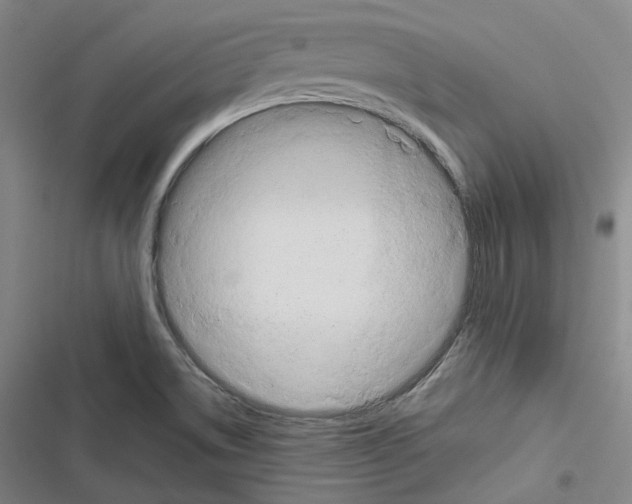 X0000116681514201001251249